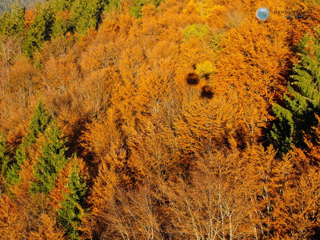 Kampenwand (Foto: Hanns Gröner)