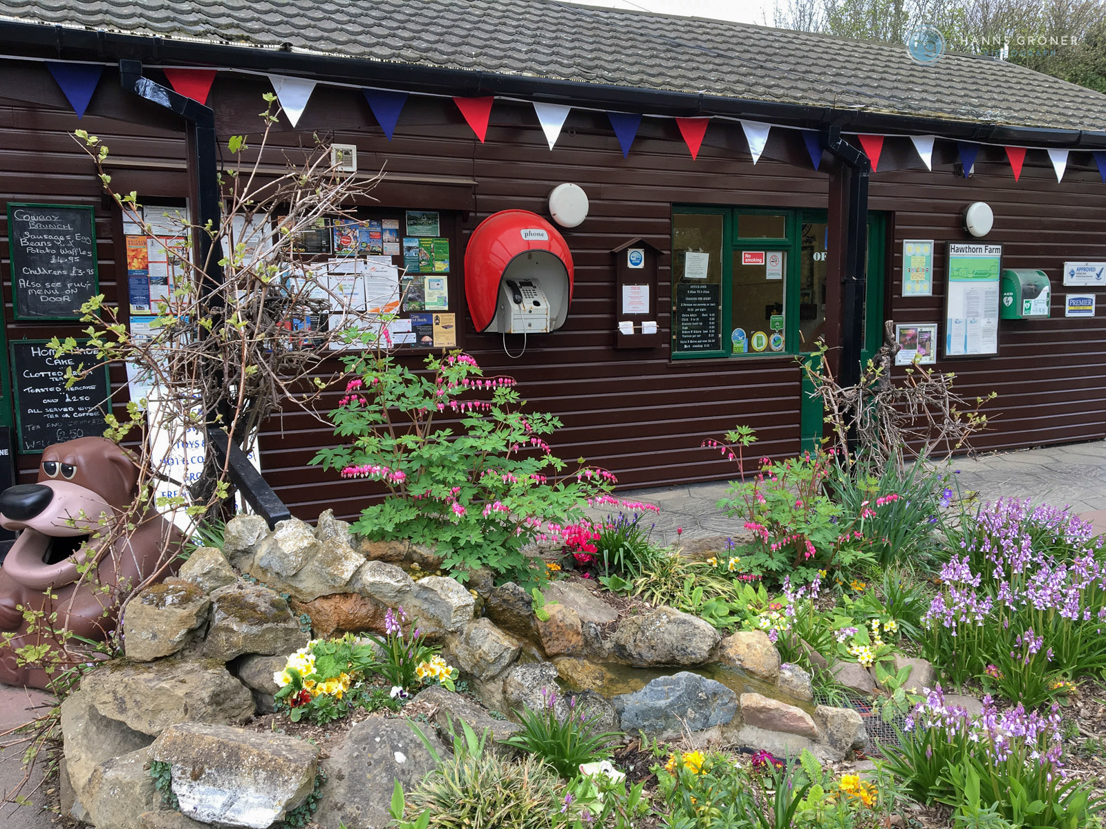 IMG_55713 Camping Dover