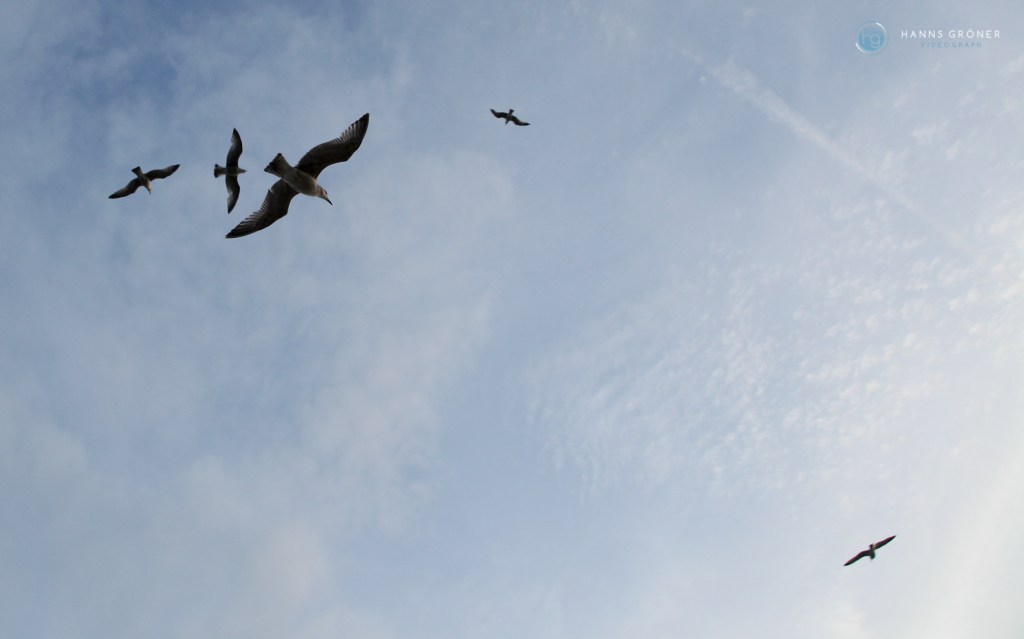 London | zwischen Dover - Dünkirchen (Foto: Hanns Gröner)