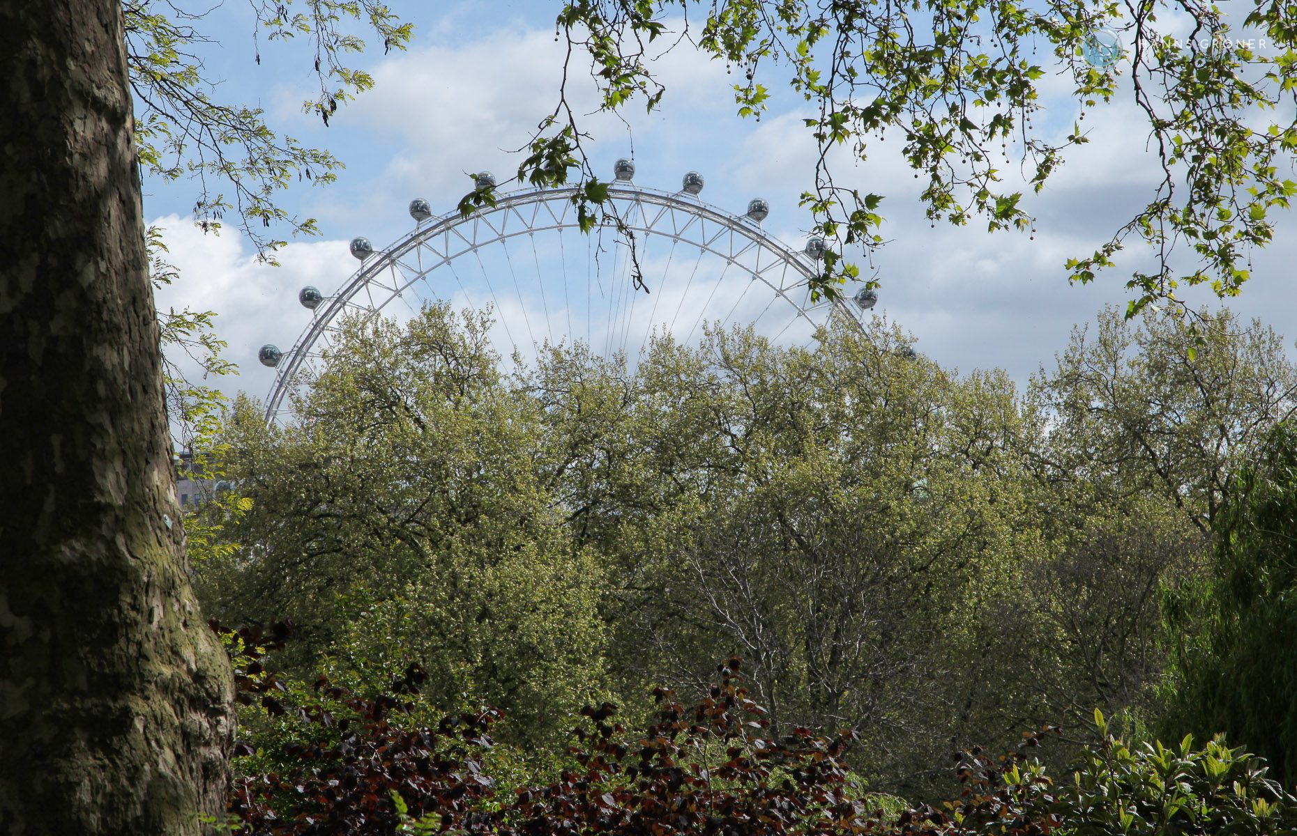 IMG_5781London Sightseeing 1-2