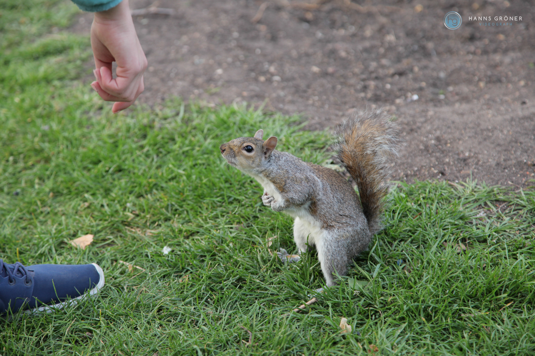 IMG_6163London Sightseeing 1