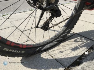 Plattfuß (Foto: Hanns Gröner)