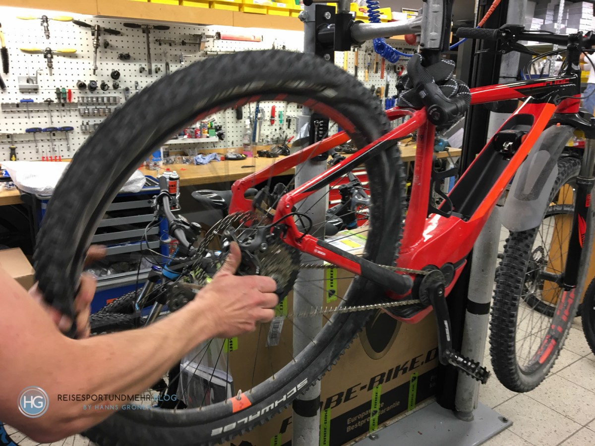 Plattfuß (Foto: Hanns Gröner)