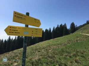 Mit dem eMTB vom Söllbachtal zur Aueralm (Foto: Hanns Gröner)