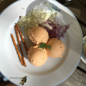 Mit dem eMTB vom Söllbachtal zur Aueralm (Foto: Hanns Gröner)