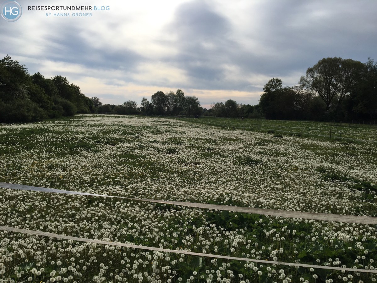 Mit dem eBike ins Büro (Foto: Hanns Gröner)