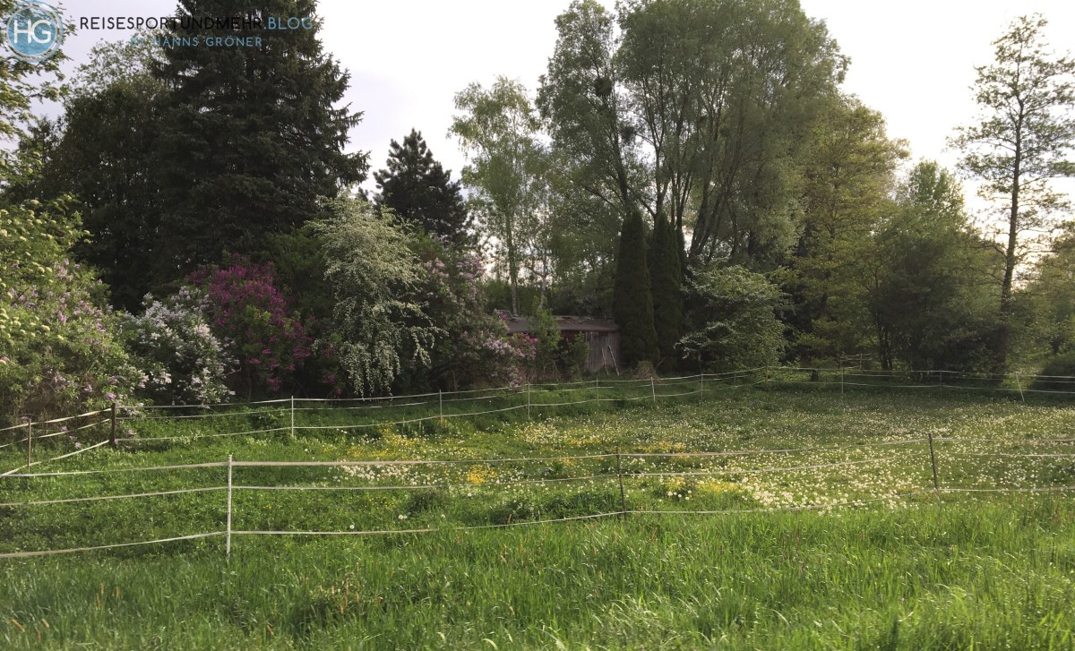 Mit dem eBike ins Büro (Foto: Hanns Gröner)