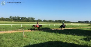Mit dem e-Bike ins Büro (Foto: Hanns Gröner)