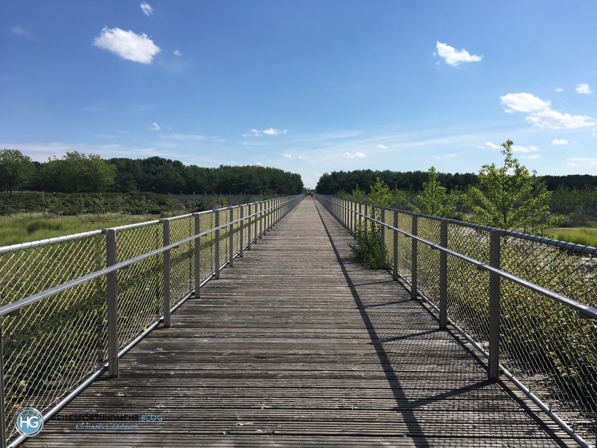 Fahrradunfall Riemer Park (Foto: Hanns Gröner)
