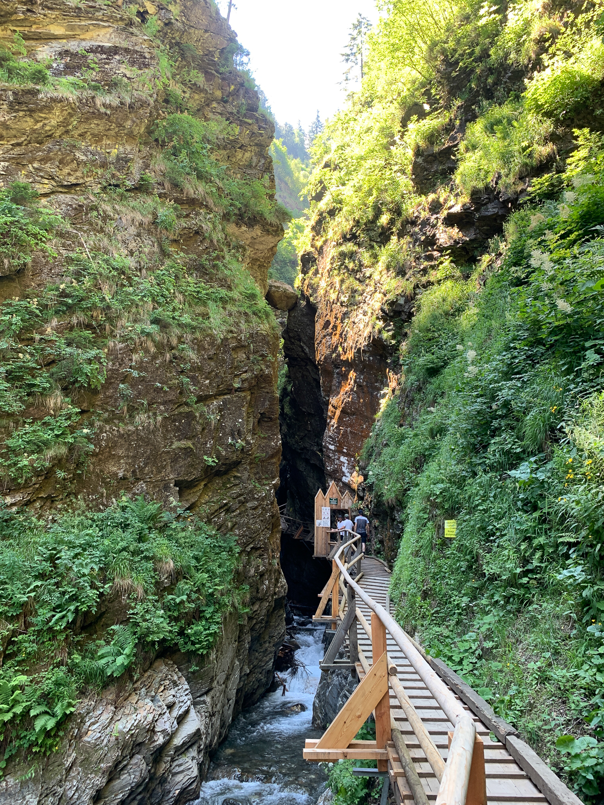 Gregor Kärnten Raggaschlucht (Foto: Hanns Gröner)