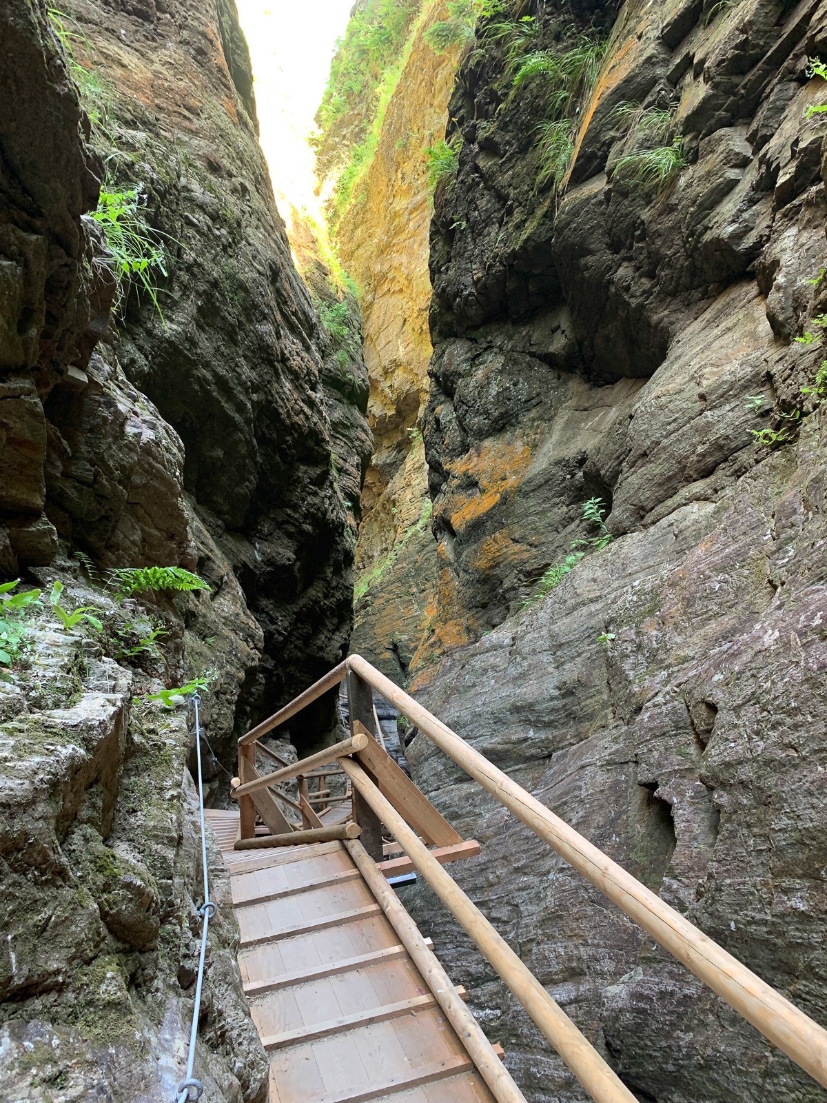 Gregor Kärnten Raggaschlucht (Foto: Hanns Gröner)