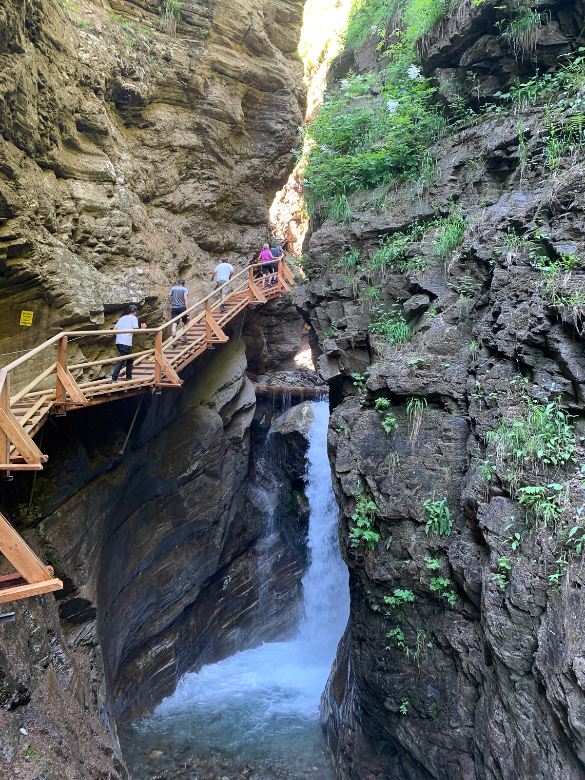 Gregor Kärnten Raggaschlucht (Foto: Hanns Gröner)