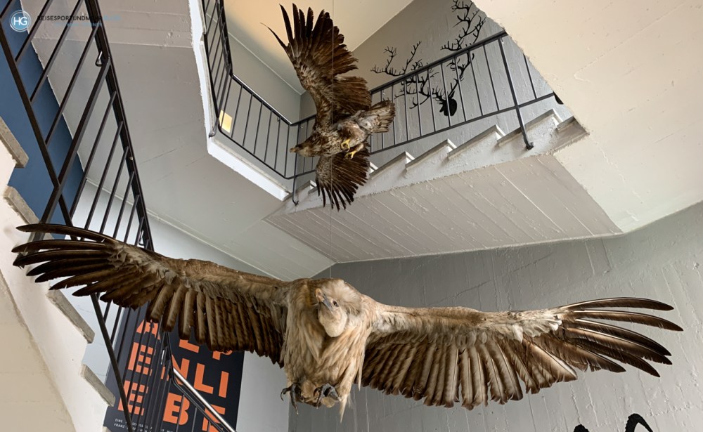 Großglockner Hochalpenstraße im Juni 2020 (Foto: Hanns Gröner)