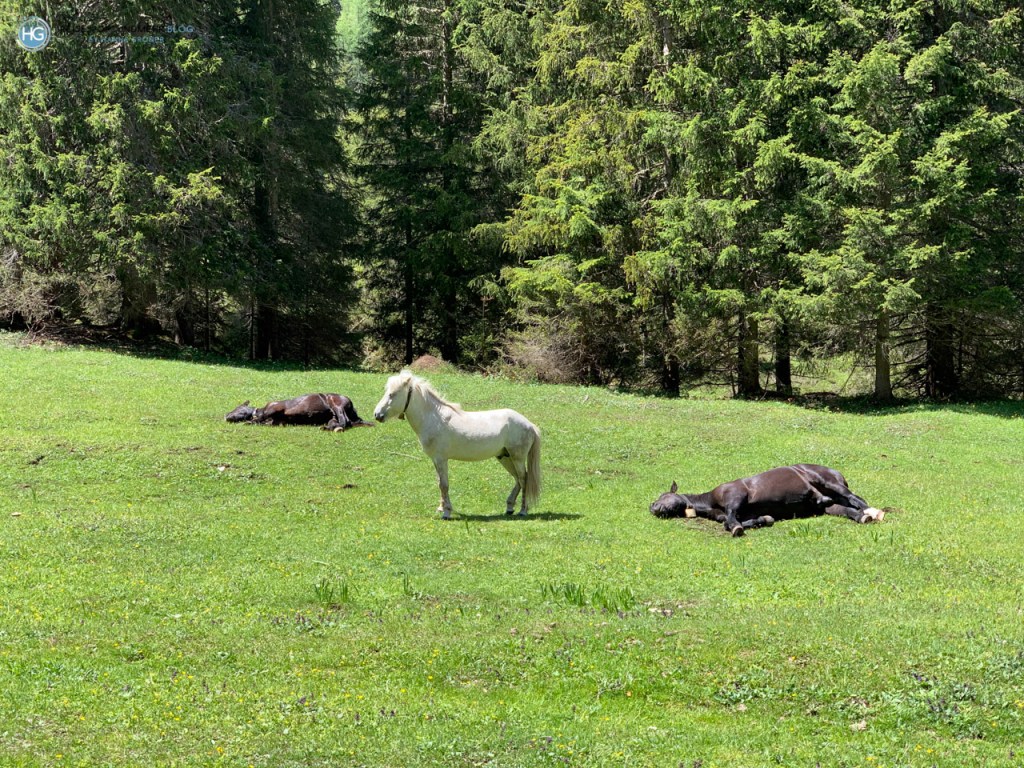 Drei Zinnen 2020 (Foto: Hanns Gröner)