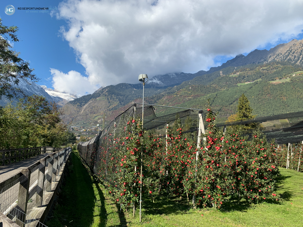 Vinschgau 2020 (Foto: Hanns Gröner)