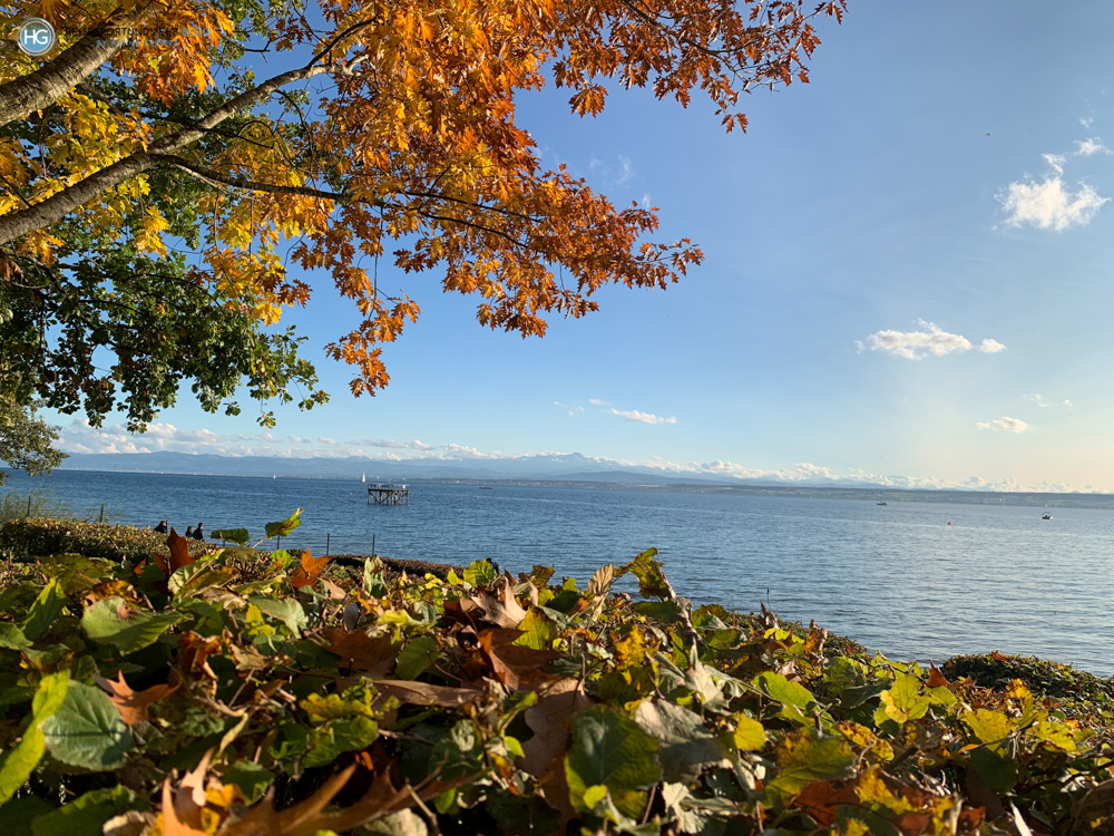 Bodensee Oktober 2020 (Foto: Hanns Gröner)