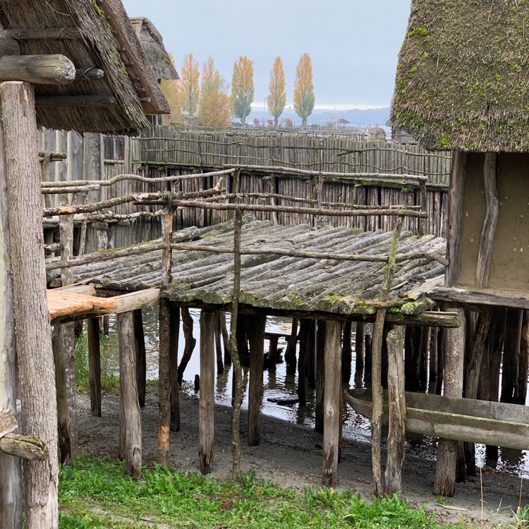 Bodensee Oktober 2020 (Foto: Hanns Gröner)