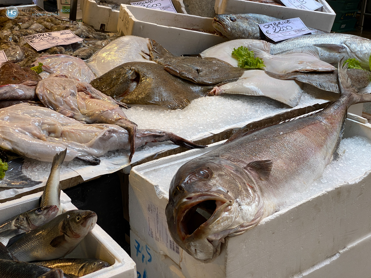 Venedig 2021 - Fischmarkt Rialto (Foto: Hanns Gröner)