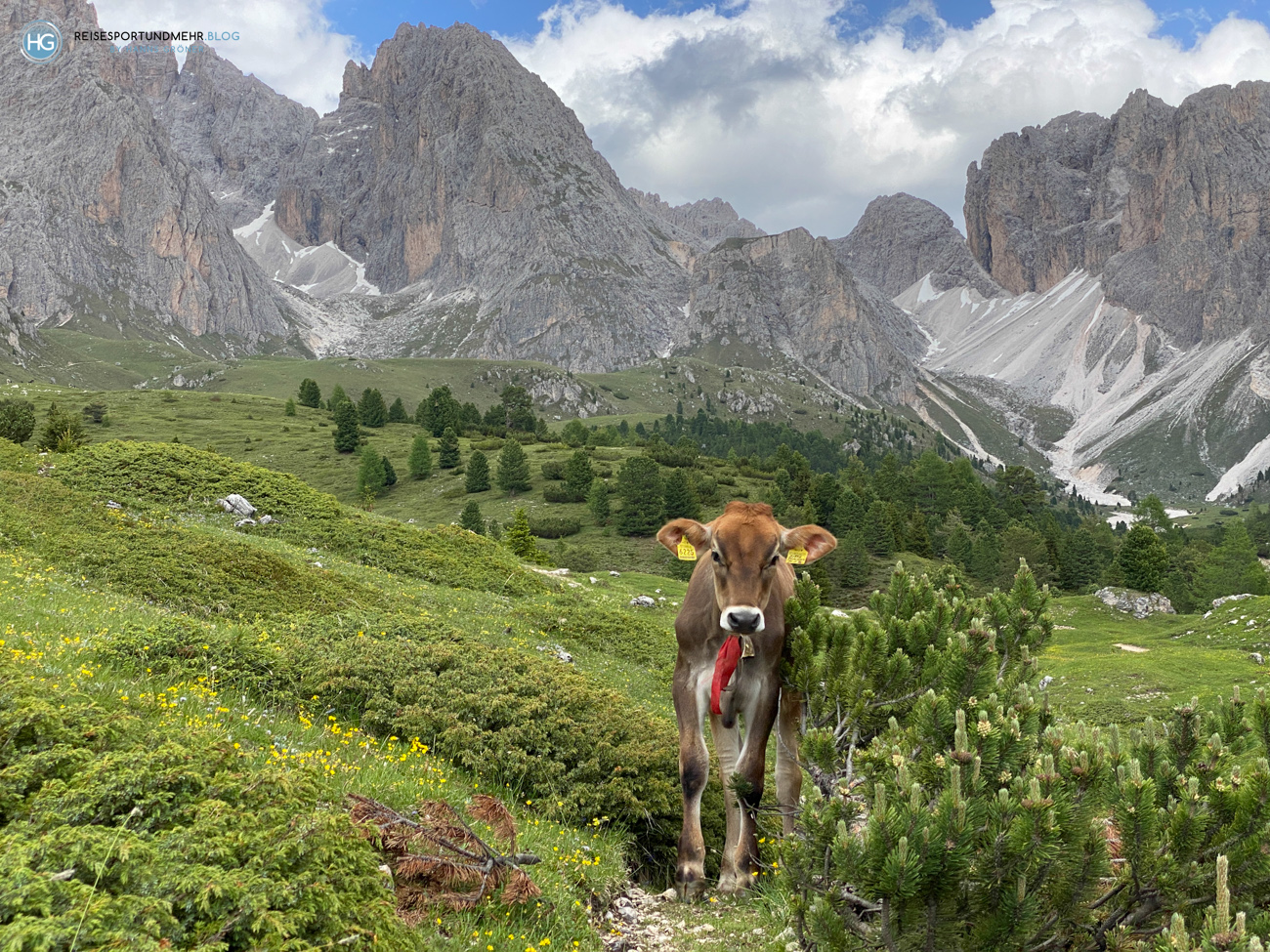 Südtirol 2021 - Col Raiser (Foto: Hanns Gröner)