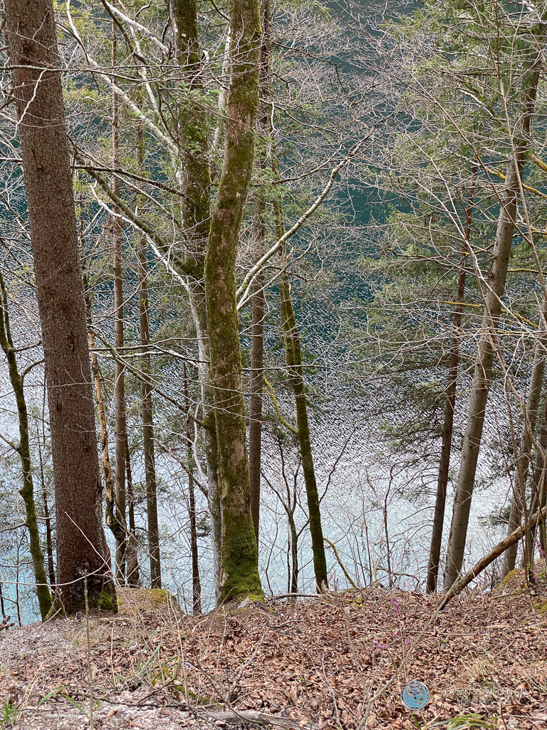 Königsee 2021 (Foto: Hanns Gröner)
