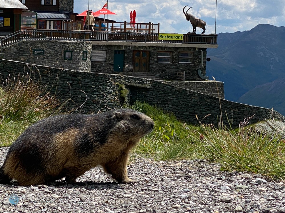 Großglockner im August 2022 (Foto: Hanns Gröner)