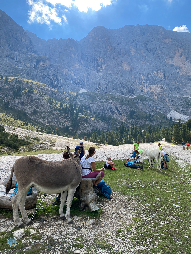 Dolomiten 2022 - im Durontal (Foto: Hanns Gröner)