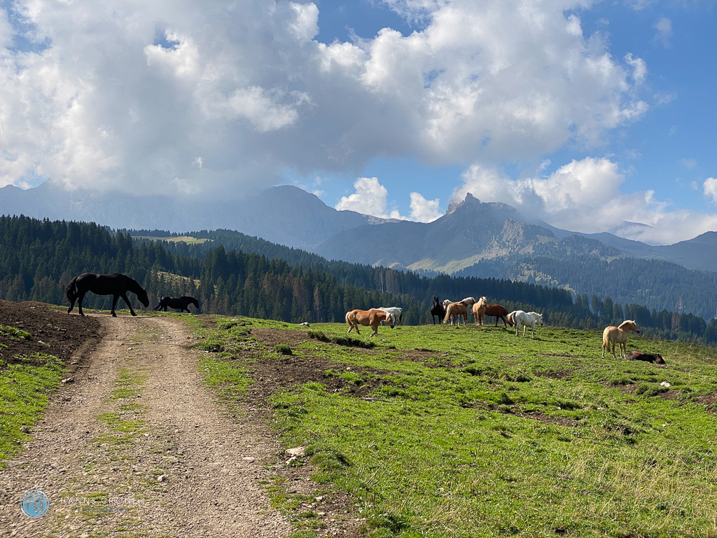 Dolomiten im September 2022 - von Plan de Gralba über Seiser Alm und Langkofel zum Val Duron (Foto: Hanns Gröner)