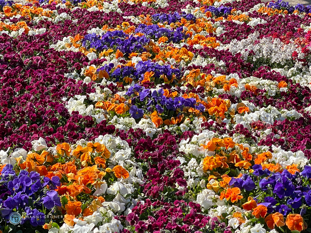 Meran im April 2023 (Foto: Hanns Gröner)