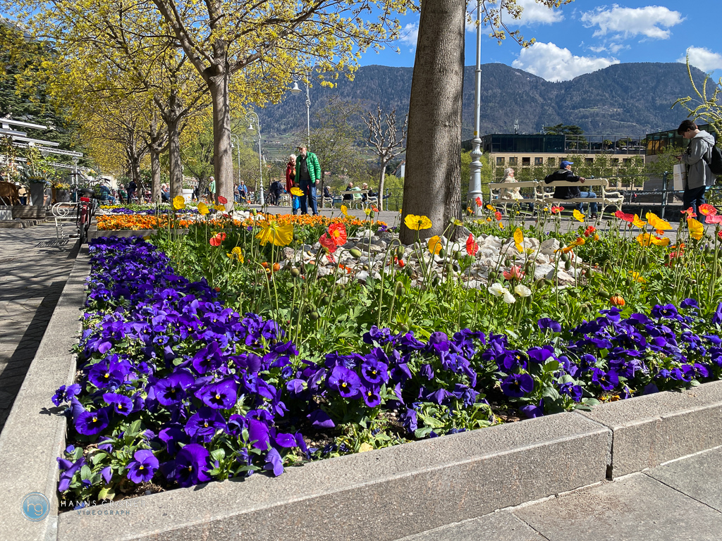 Meran im April 2023 (Foto: Hanns Gröner)