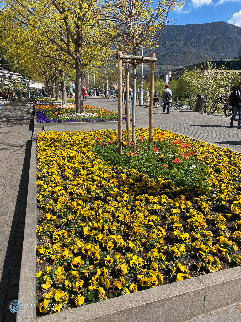 Meran im April 2023 (Foto: Hanns Gröner)