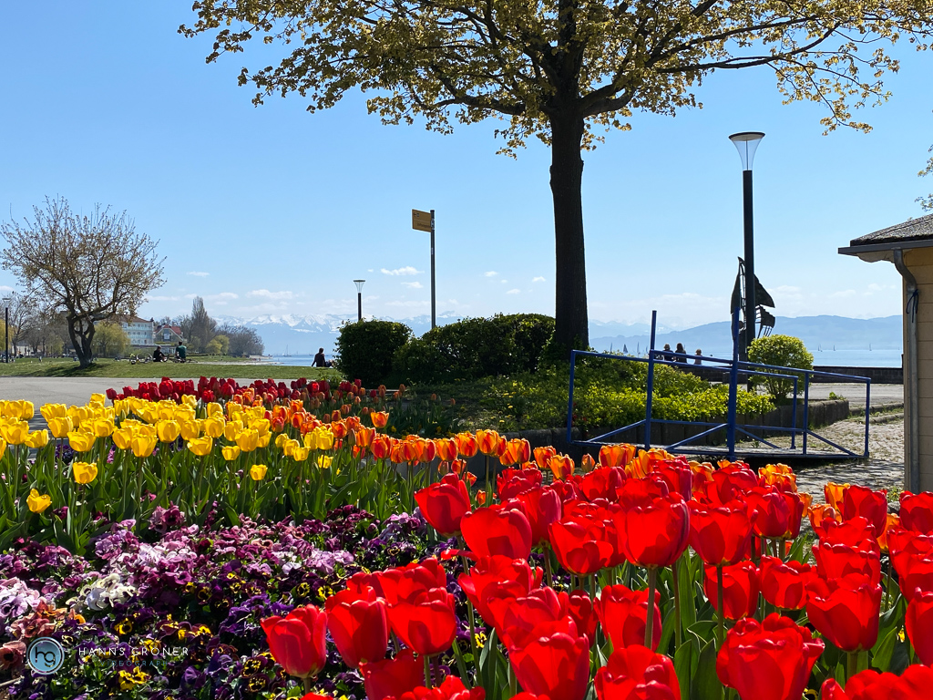 Bodensee Langenargen 2021 (Foto: Hanns Gröner)