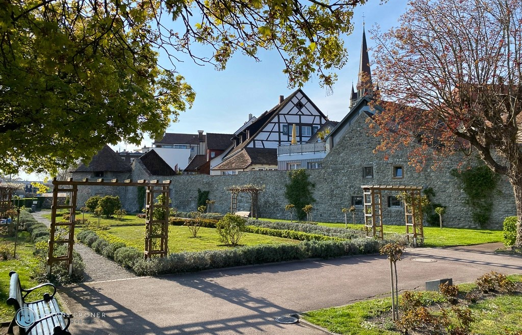 Bodensee Radolfzell 2021 (Foto: Hanns Gröner)