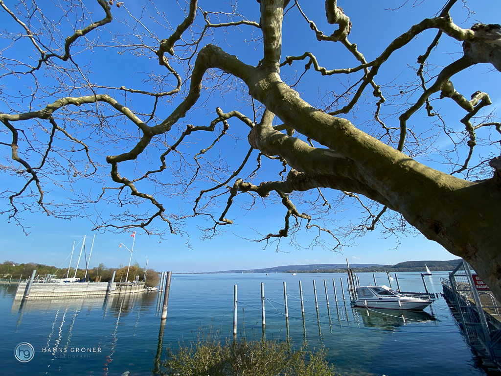 Bodensee Radolfzell 2021 (Foto: Hanns Gröner)