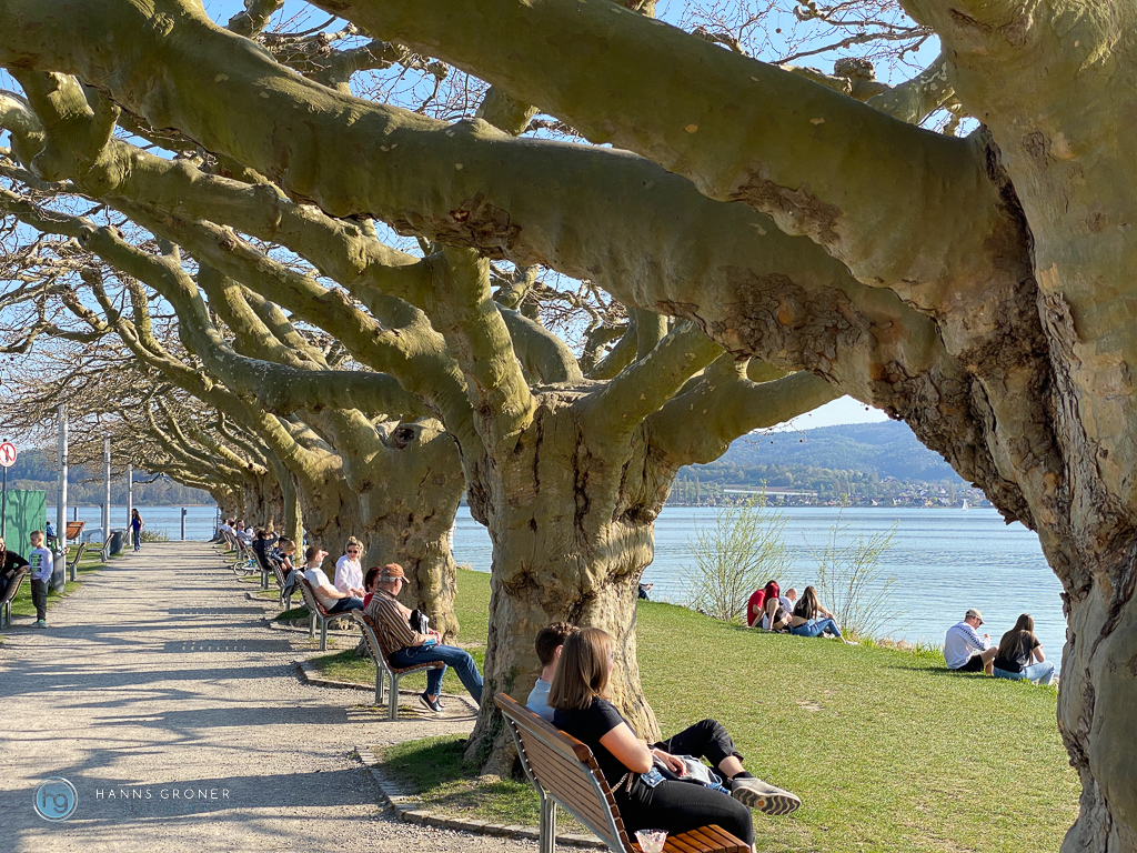 Bodensee Radolfzell 2021 (Foto: Hanns Gröner)