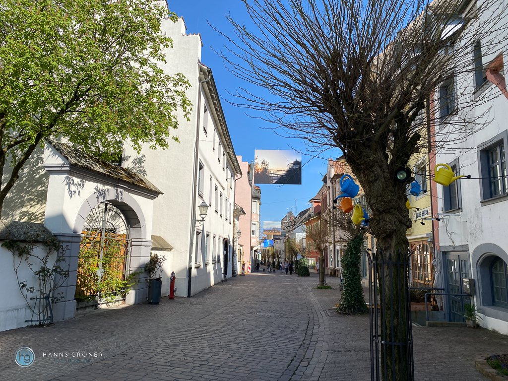 Bodensee Radolfzell 2021 (Foto: Hanns Gröner)