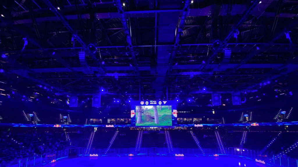 SAP Garden München am 1.11.24 - EHC Red Bull München gegen Köln (Foto: Hanns Gröner)