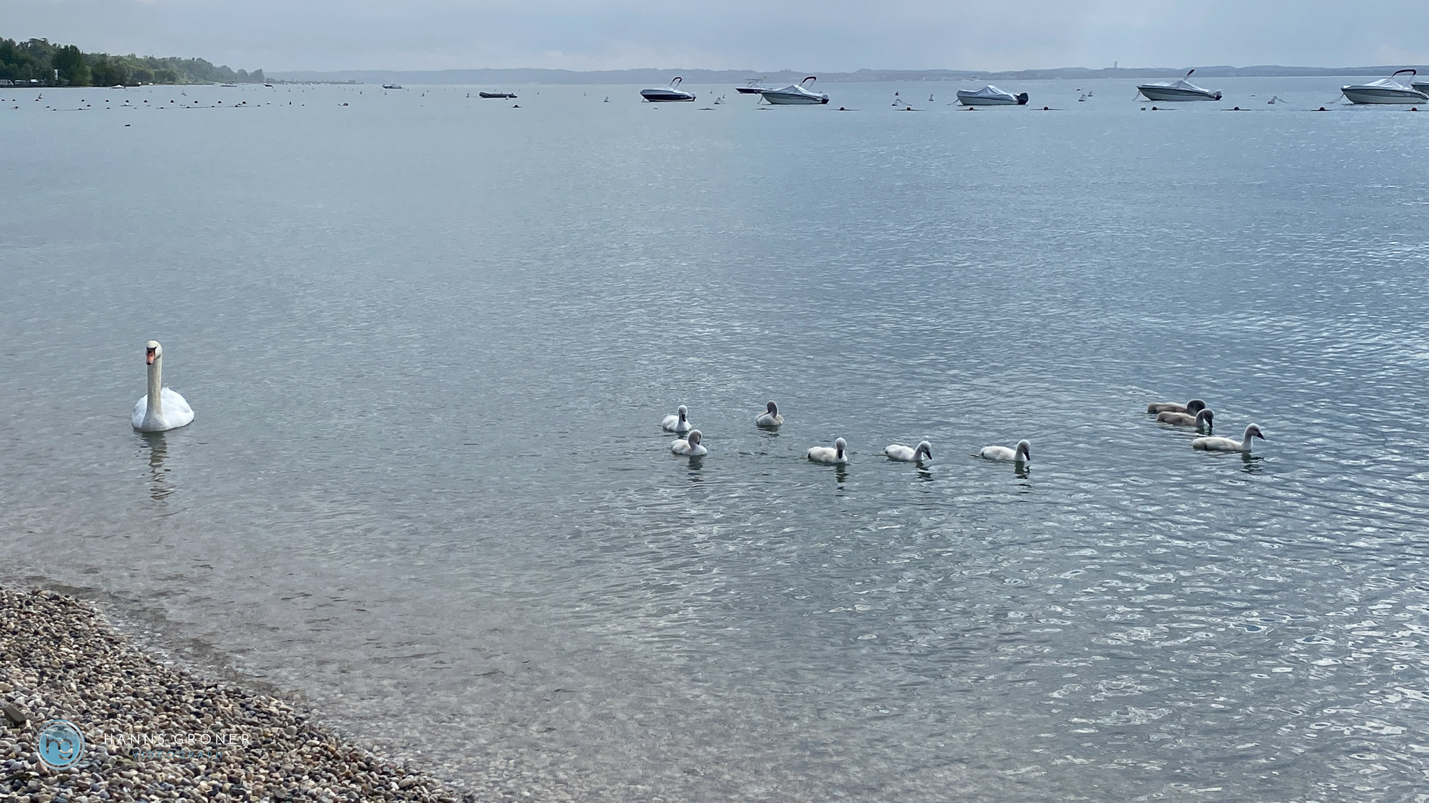 Lazise im Mai 2025 (Foto: Hanns Gröner)